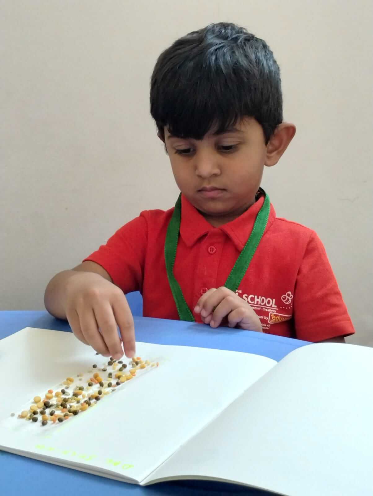 Play School KPHB Colony, Kukatpally Hyderabad